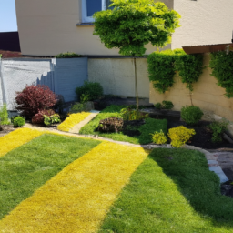 Abattage : enlevez les arbres dangereux ou indésirables de votre jardin en toute sécurité Avion